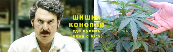 прущая мука Богородицк