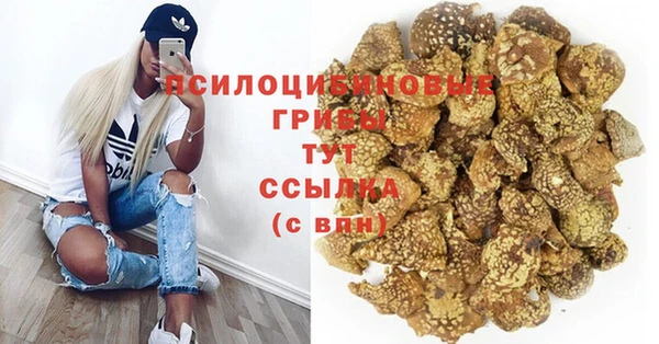 первитин Богородск