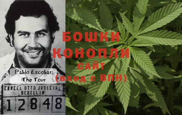 героин Богданович