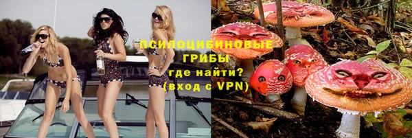 героин Богданович