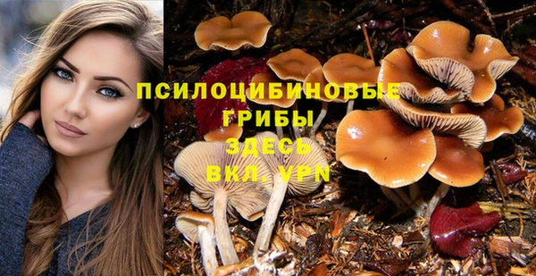 прущая мука Богородицк