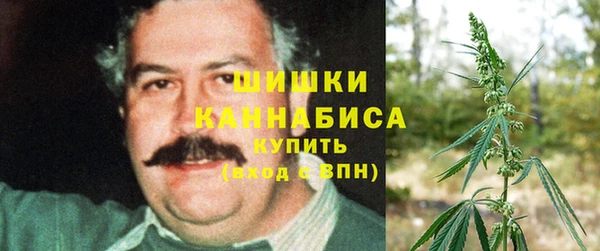 прущая мука Богородицк