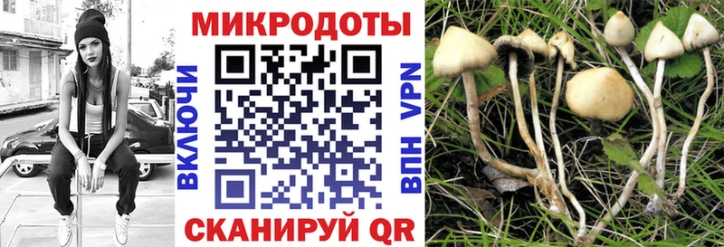 это телеграм  Саранск  Псилоцибиновые грибы MAGIC MUSHROOMS 